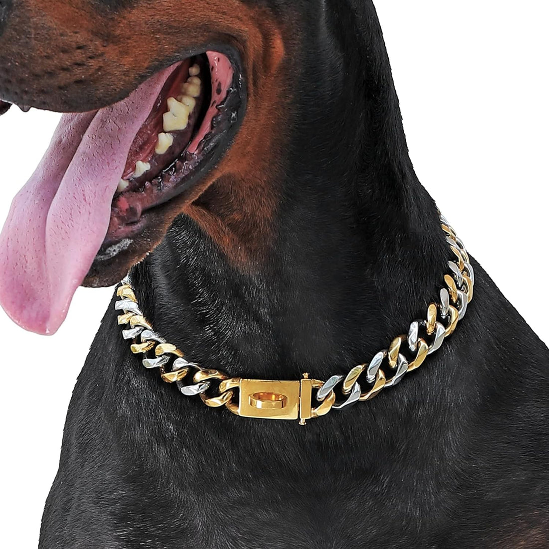 18K Gold Plated Cuban Link Dog Collar for Medium and Large Dogs