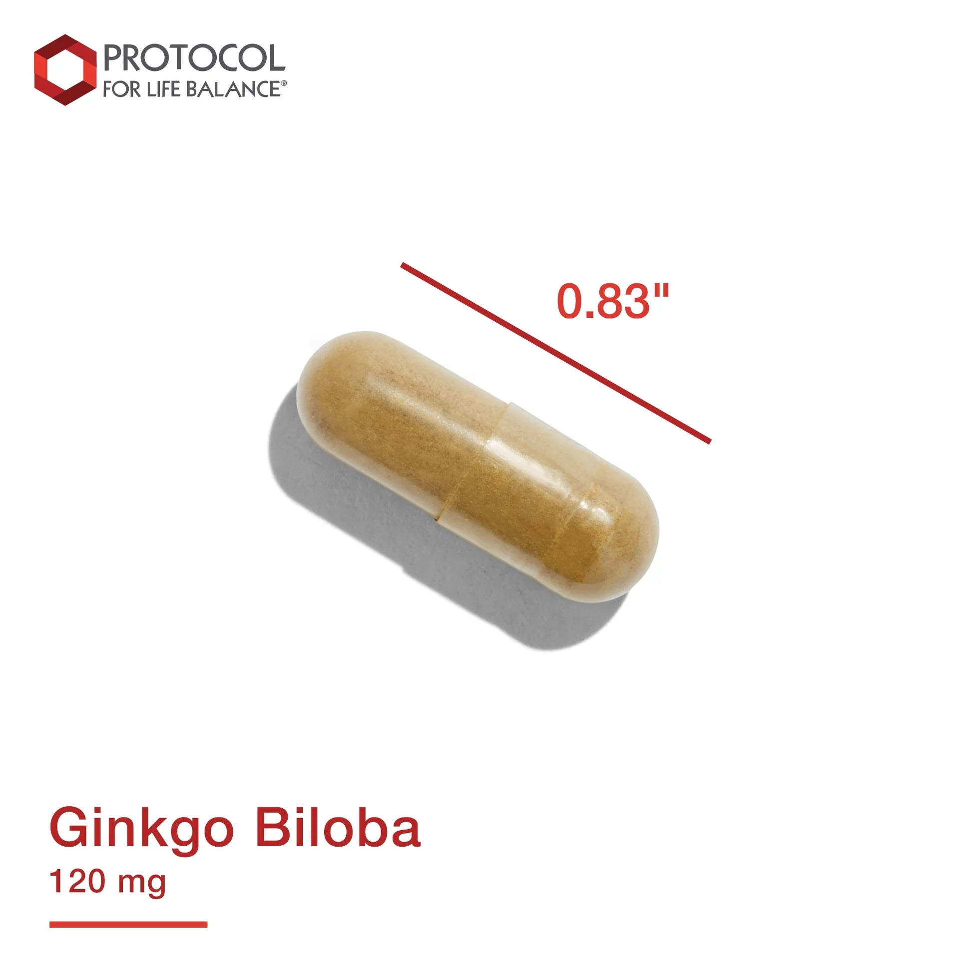 Protocol Ginkgo Biloba with Eleuthero Herbal Supplements - Circulation, Brain Support - 100 Veg Caps