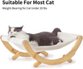 Elevated Cat Hammock Swing Chair for Indoor Cats - White