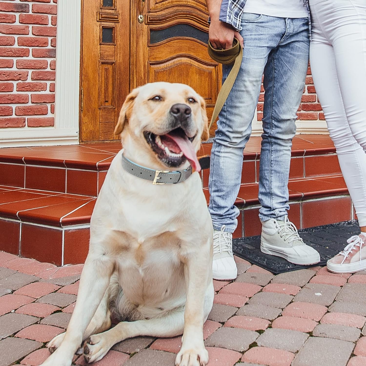 "Genuine Leather Dog Collar with Soft Padding and Stylish Design for Small, Medium, and Large Dogs"